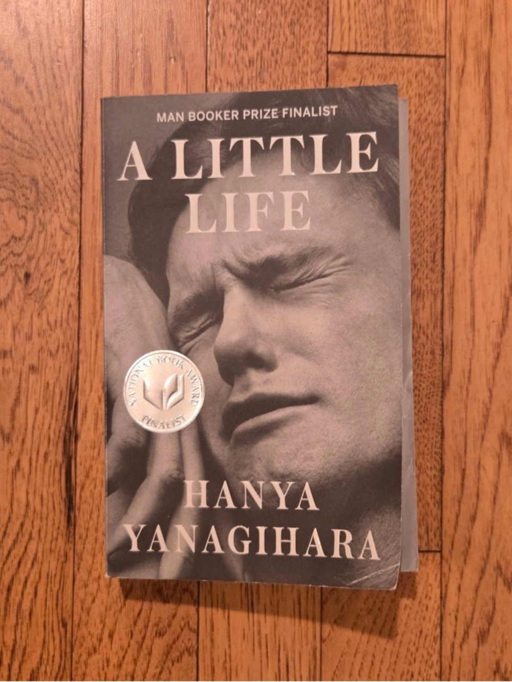 A Little Life by Hanya Yanagihara - Gray Cover